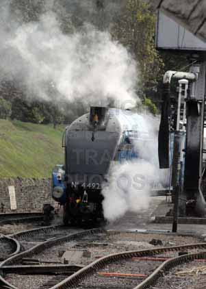 Purchase photo of 4492 DOMINION OF NEW ZEALAND (BITTERN) at Swanage Railway